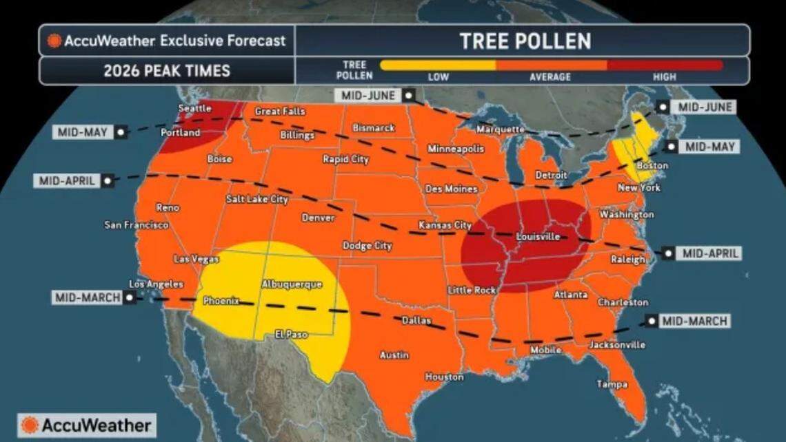 An AccuWeather map indicates a potentially bad tree pollen season for the Pacific Northwest.