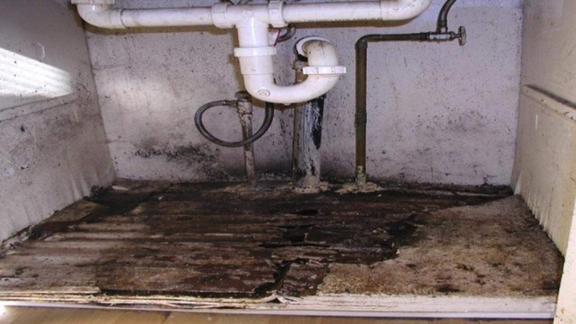 This is the No. 1 problem Bellingham renters face. Housing advocates want protections