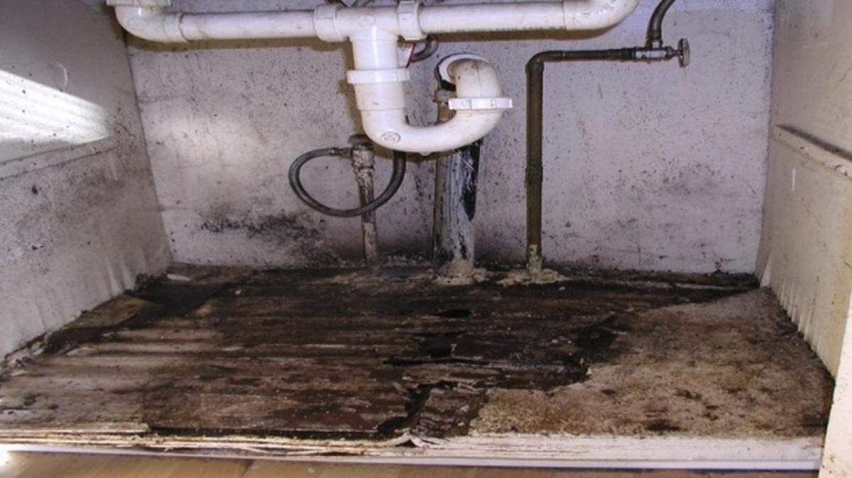 An undated photo shows mold growth inside due to an unrepaired plumbing leak.