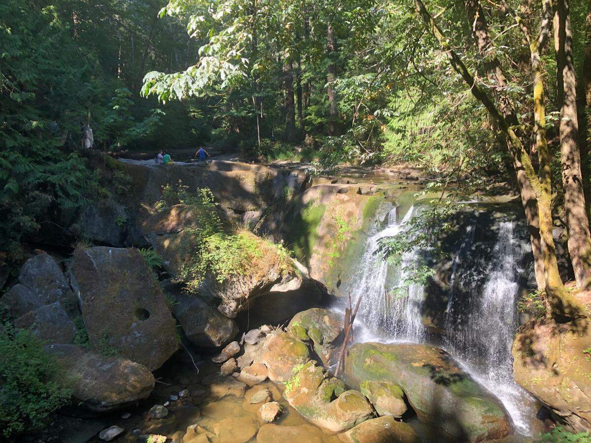 People wade in Whatcom Creek at Whatcom Falls Park Friday, July 29, 2022, in Bellingham, Wash.