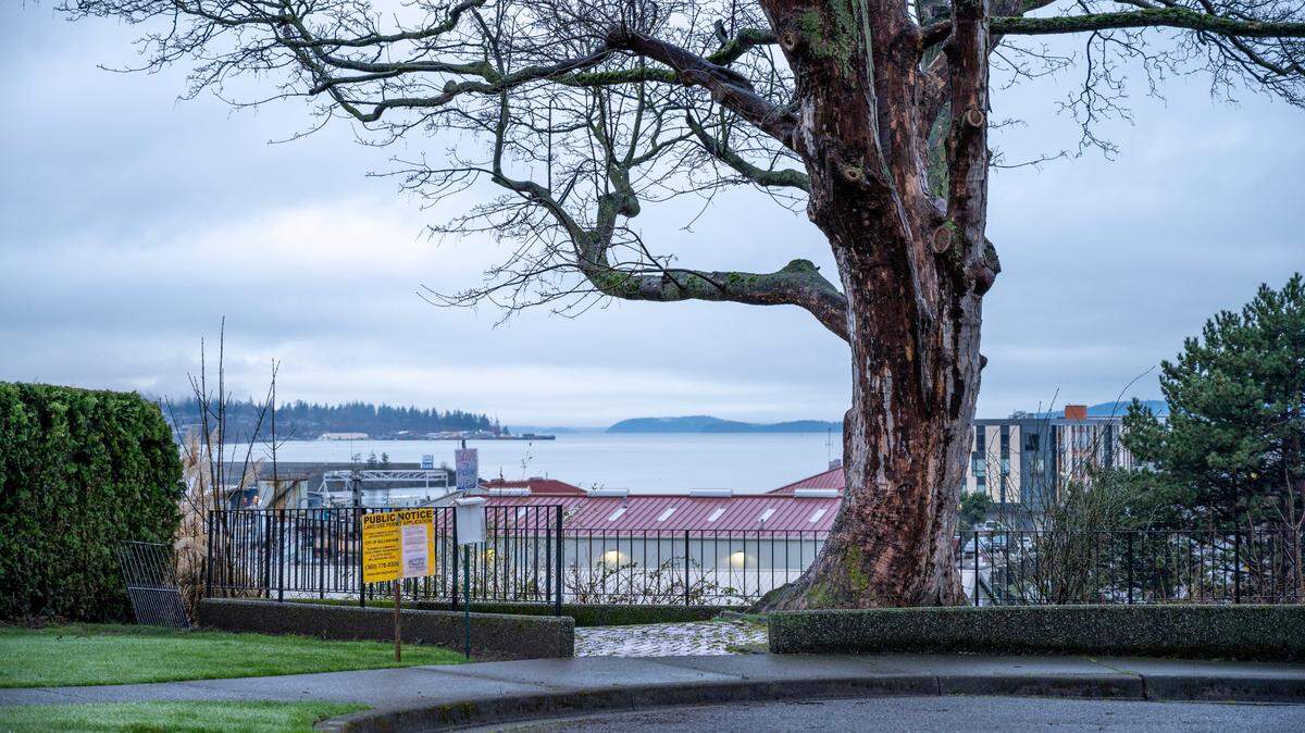 Broadway Overlook Park at the south end of Broadway in Bellingham Tuesday, March 22, offers views of Bellingham Bay from Fairhaven to the Lummi Peninsula.