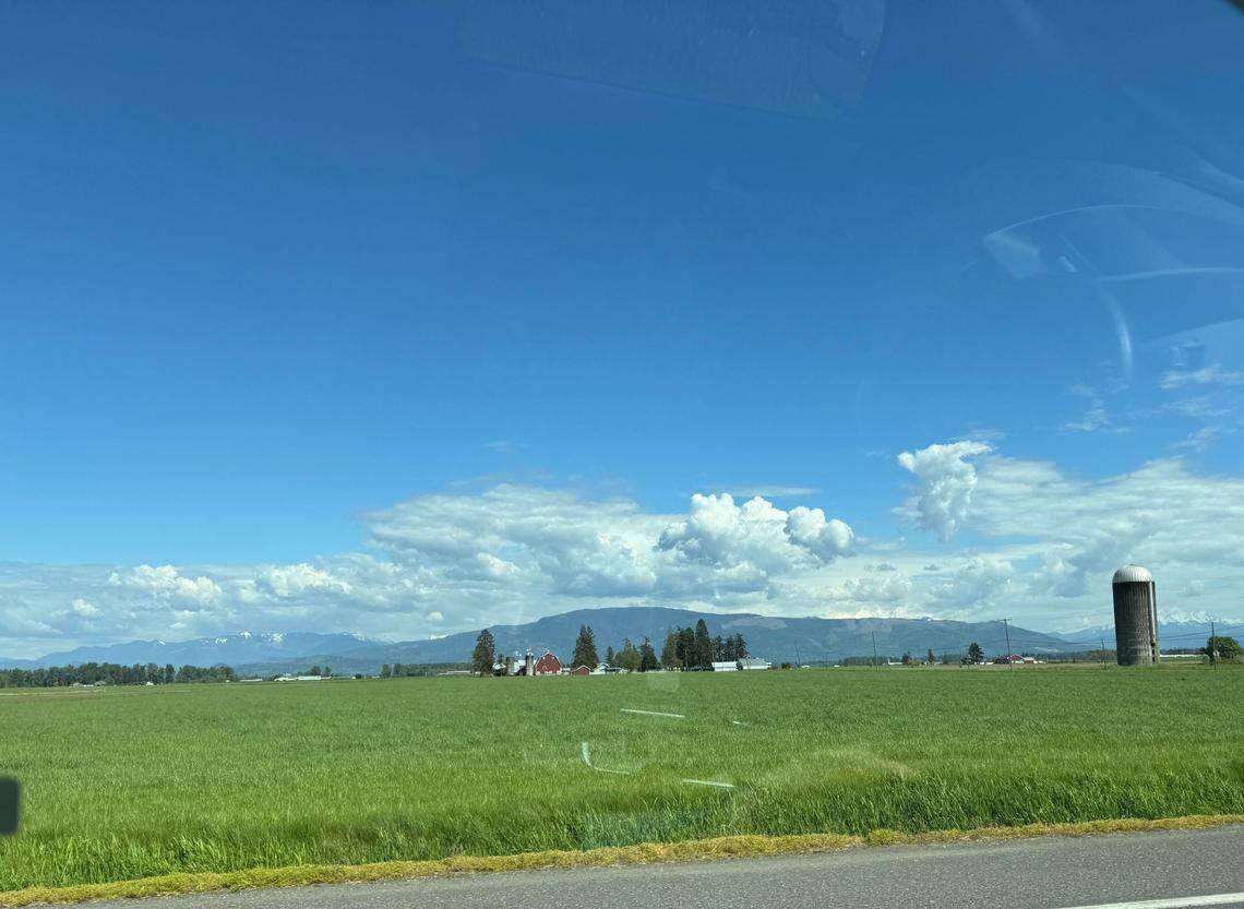 The view from Hannegan Rd. in Lynden, Wash. on Thursday, May 2, 2024.