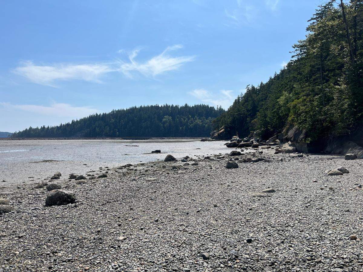 The Chuckanut Bay estuary is seen at low tide on July 6, 2023, abutting the base of the Mud Bay Cliffs. The Woods at Viewcrest subdivision development is proposed on the land above the cliffs in the Edgemoor neighborhood of Bellingham, Wash.