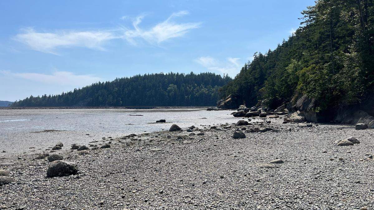 The Chuckanut Bay estuary is seen at low tide on July 6, 2023, abutting the base of the Mud Bay Cliffs. The Woods at Viewcrest subdivision development is proposed on the land above the cliffs in the Edgemoor neighborhood of Bellingham, Wash.