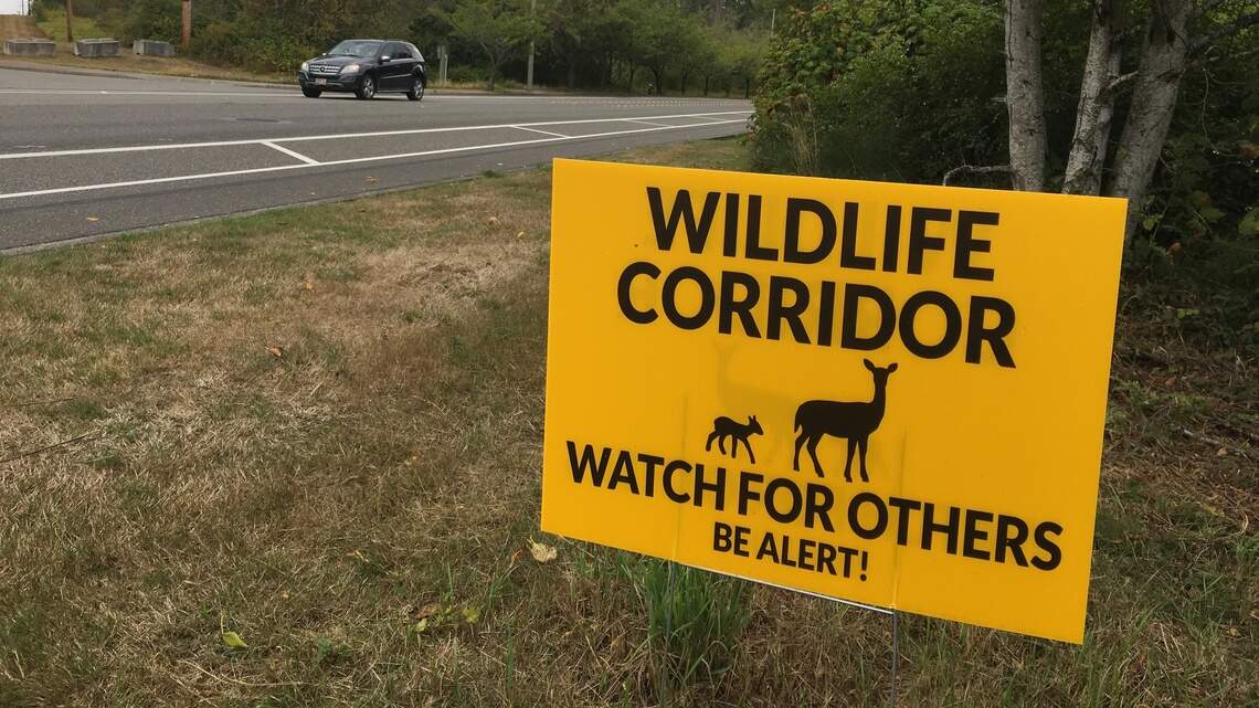 Where am I mostly likely to hit a deer in Washington state? See high-risk roads