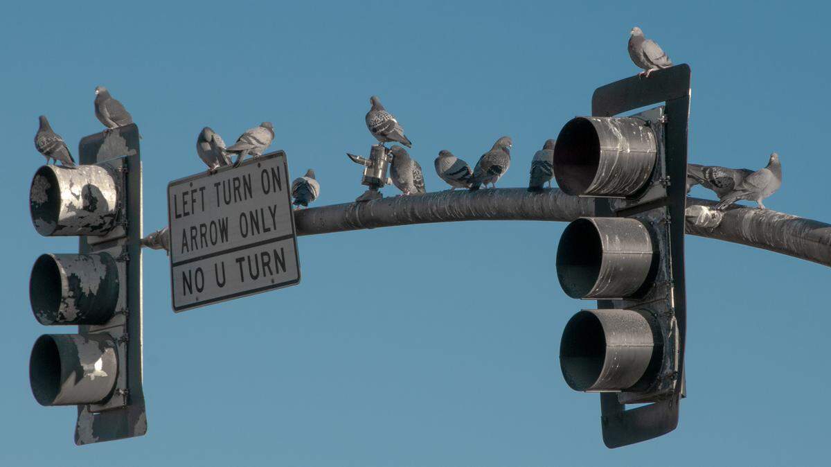 Washington law generally allows drivers to make U-turns as they are done safely and without interfering with other traffic. But don’t try that in neighboring Oregon.