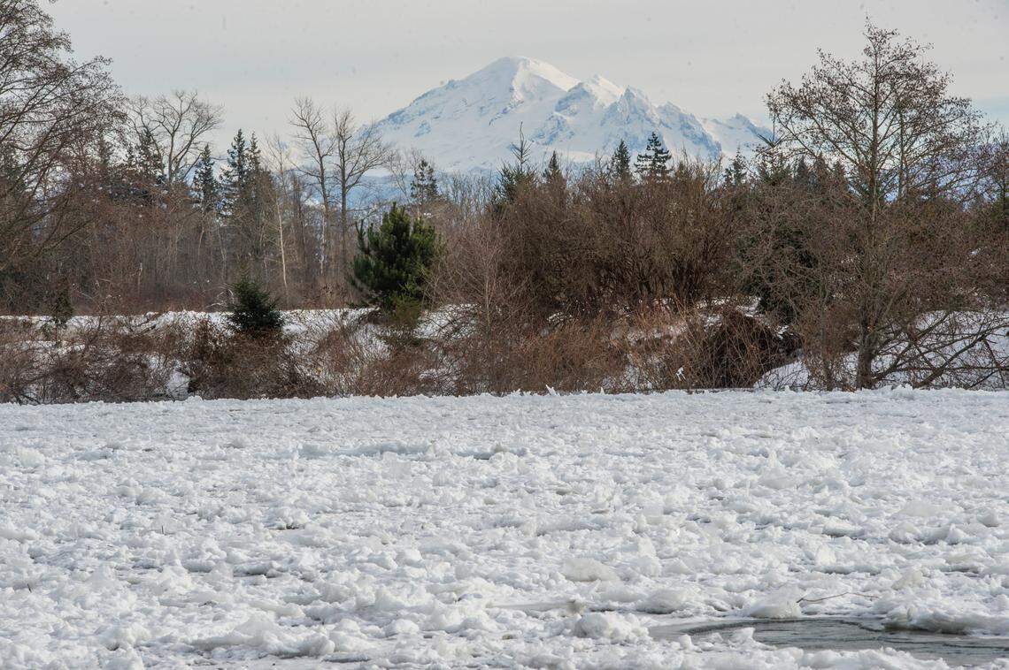 The Nooksack River is icy as snow continues to blanket Whatcom County on Wednesday, Dec. 29.