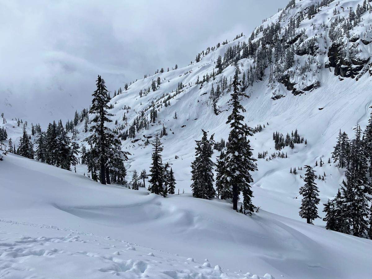 Snow covers the Mount Baker backcountry along Bagley Creek on February 17, 2025, in Whatcom County, Wash.