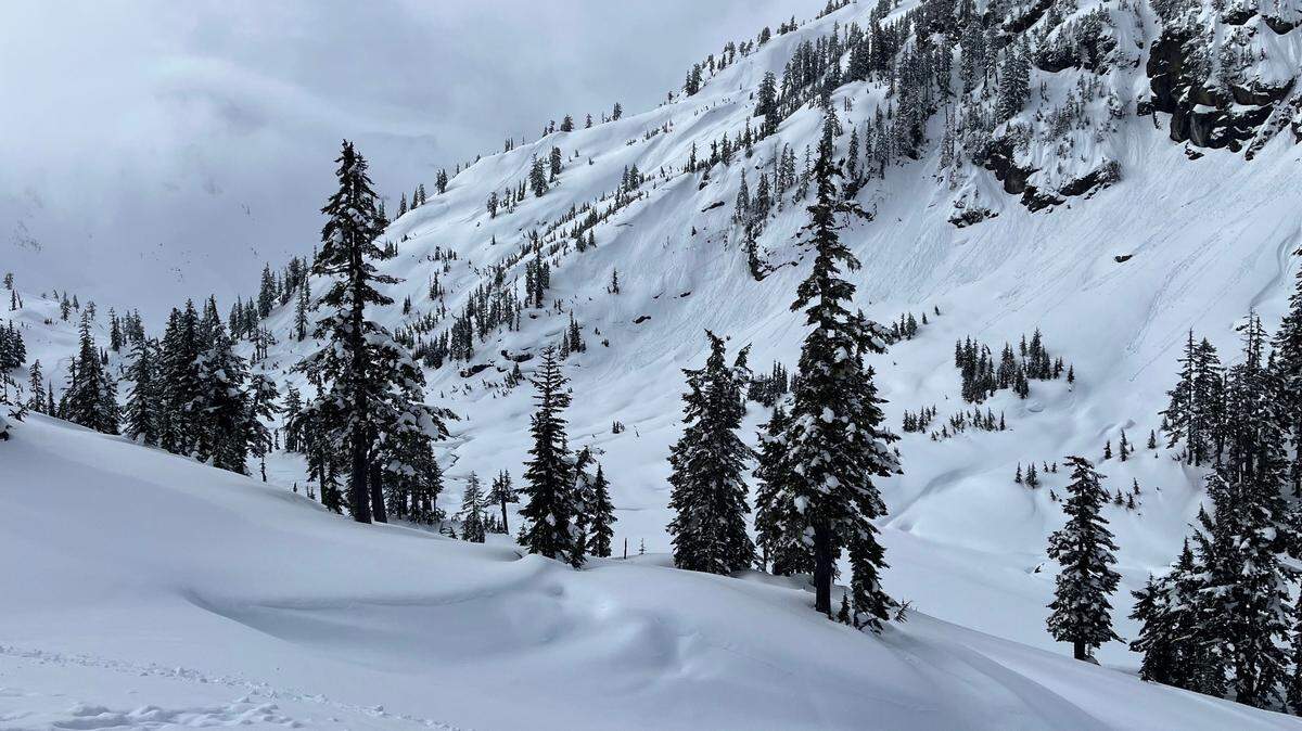 Snow covers the Mount Baker backcountry along Bagley Creek.