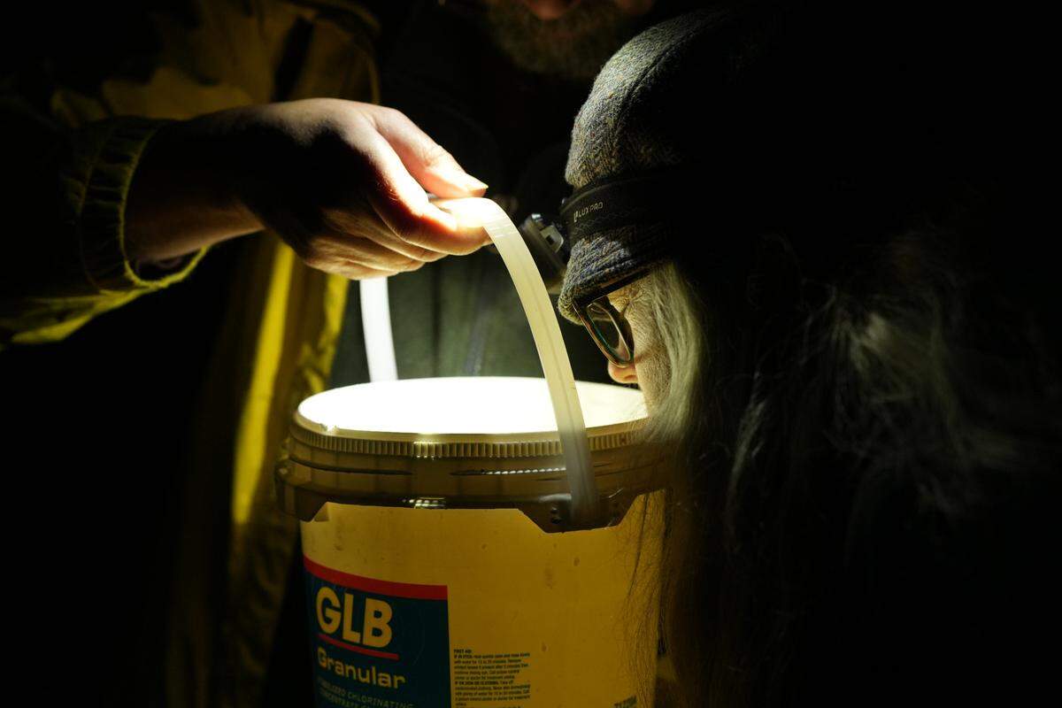 Volunteers with the Salish Sea Stormwater Monitoring Project conduct a smell test of a water sample from the mouth of Whatcom Creek.