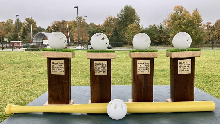 Batter up! End-of-summer charity Wiffle Ball tournament returns to Bellingham