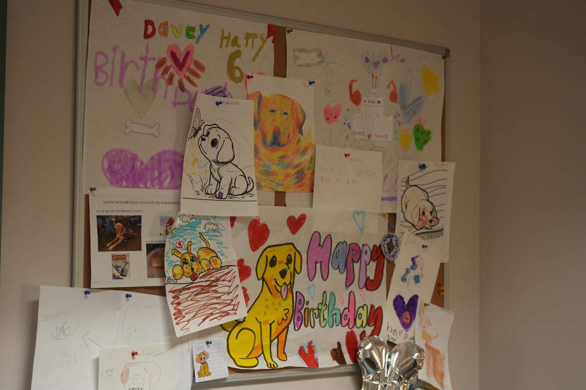 Art, appreciation notes and birthday wishes for Davie cover a board in the courthouse.