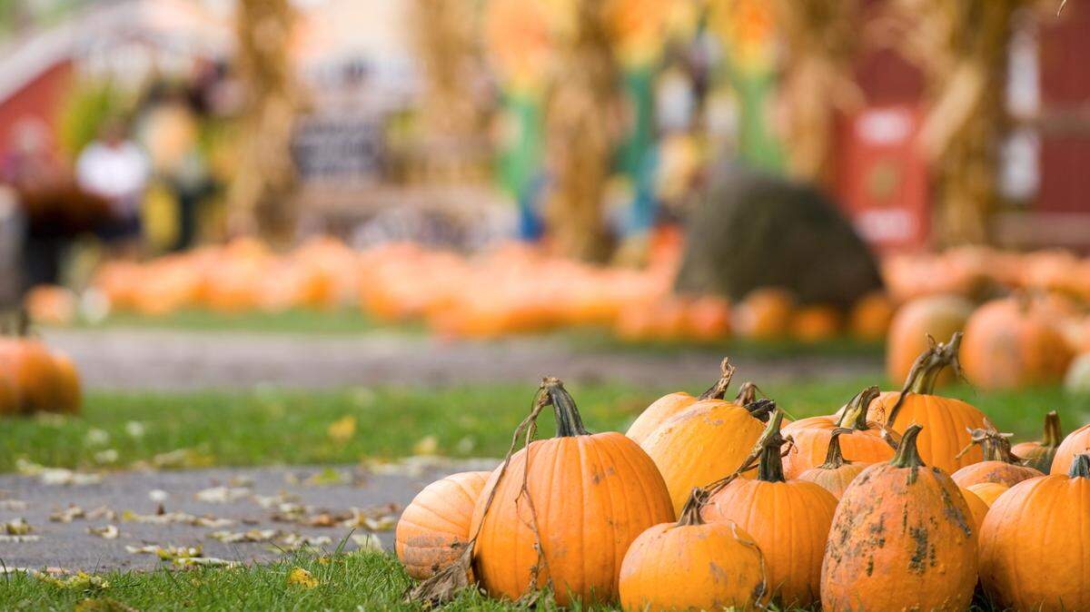Here’s what forecasters with the National Weather Service expect this fall in Illinois, as well as a seasonal prediction from the Farmers’ Almanac.