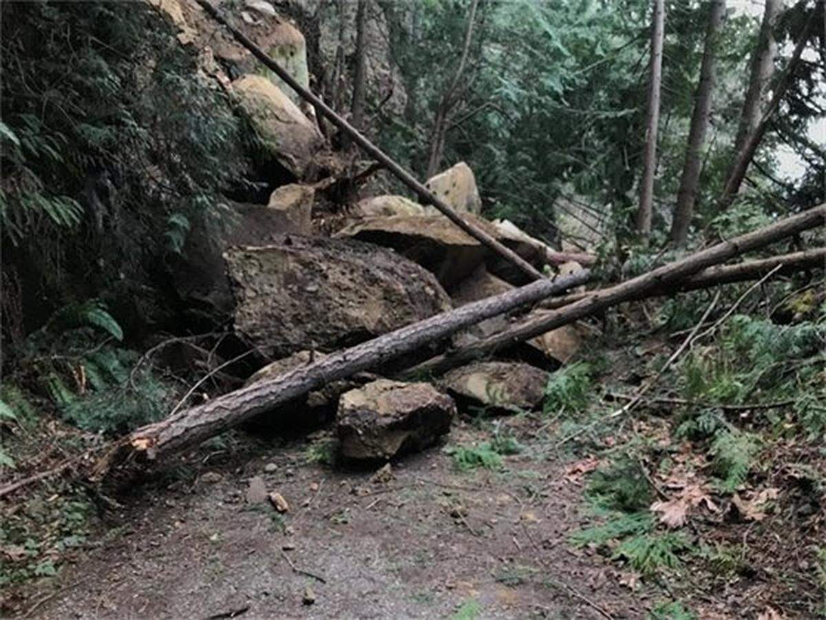 Part of the Hertz Trail at Lake Whatcom Park near Bellingham has been temporarily closed by a landslide.