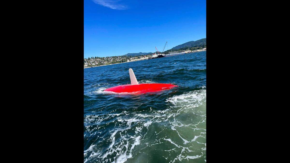 A red sailboat overturned in Bellingham Bay on the weekend of July 22, near Bellingham, Wash. No injuries were reported.