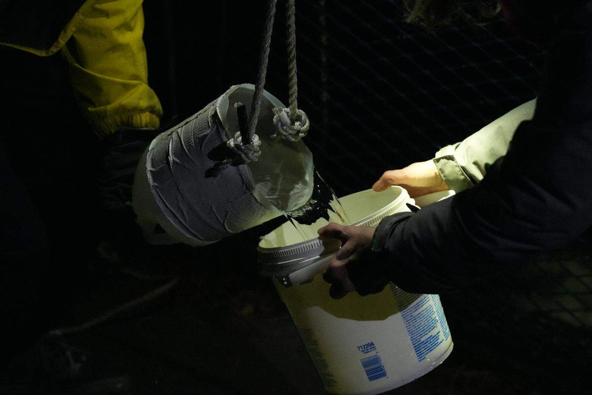 Volunteers with the Salish Sea Stormwater Monitoring Project test outfall water for pollution at the mouth of Whatcom Creek.