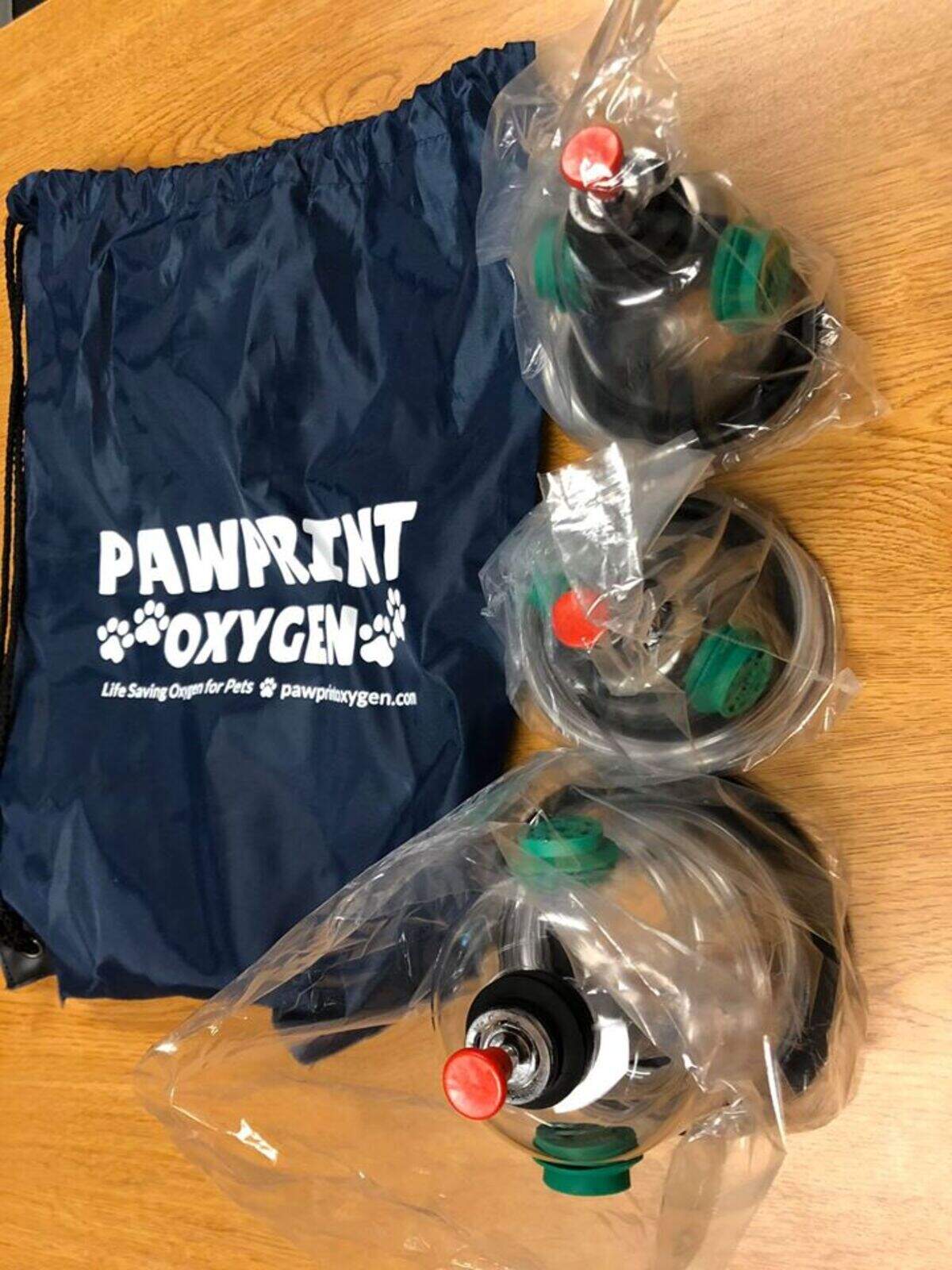 Girl Scouts of Western Washington Troop 46466 raised money and donated five sets of pet oxygen masks to Fire District 7 so that firefighters could help “puppies, kitties and ponies” and the girls could learn to make a difference in their community.