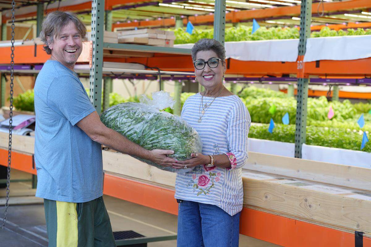 New Mexico Tamale Company owner Dora Ruiz picks up freshly harvested cilantro for her restaurant from FarmWild’s aquaponic farm on Sept. 16.