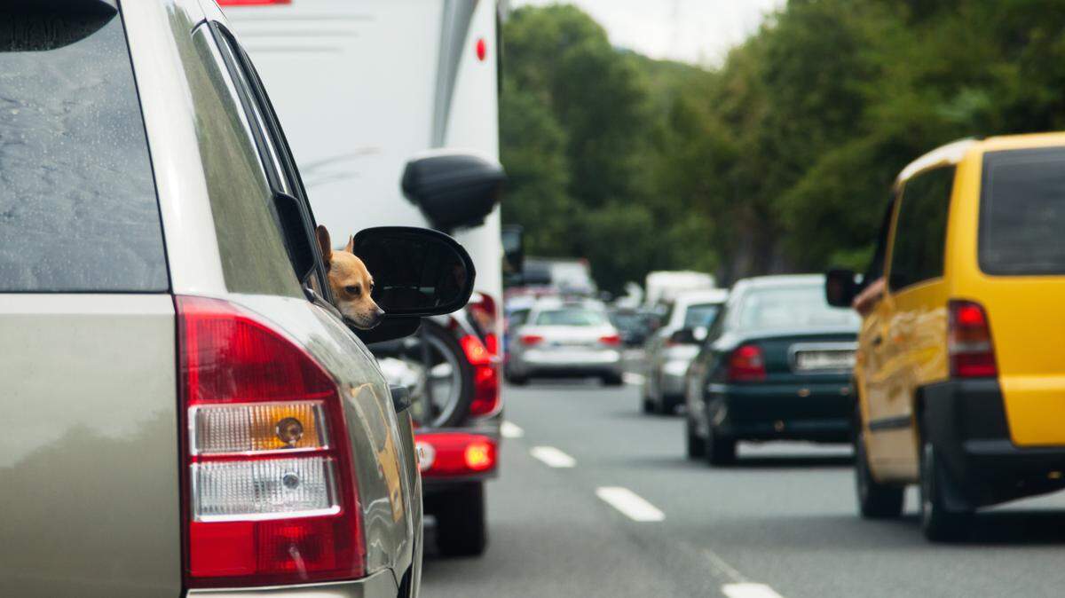On a Washington state highway where it’s unsafe to pass, a slow vehicle must pull off the road if five or more cars are formed in a line. But only when safe.