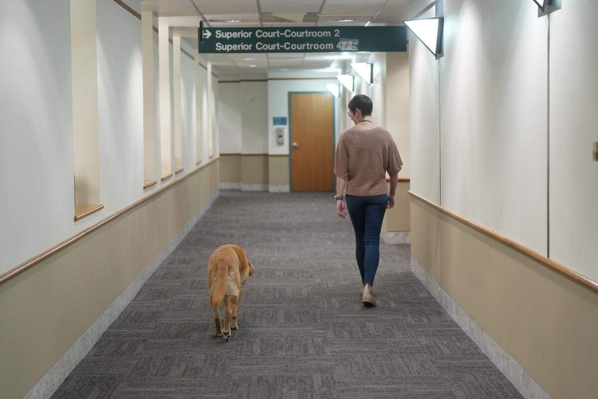 Davie walks through the courthouse with his handler, Melissa Isenhart.