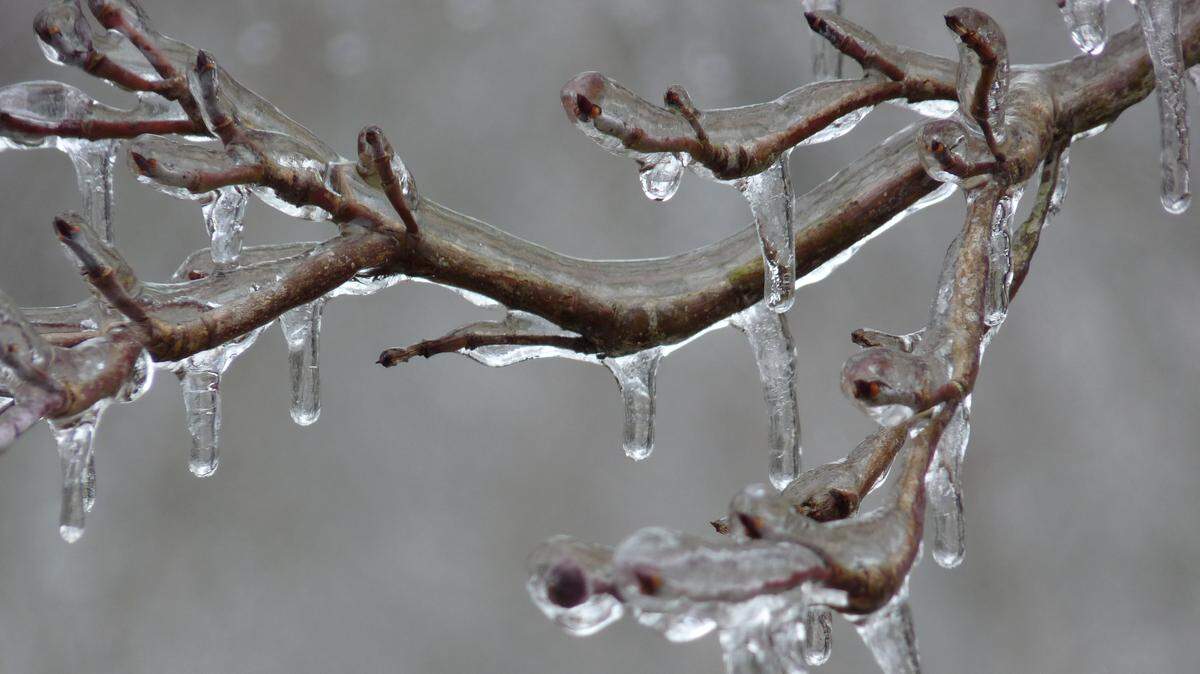 Here’s where metro-east residents can go to warm up during the region’s winter storm watch.