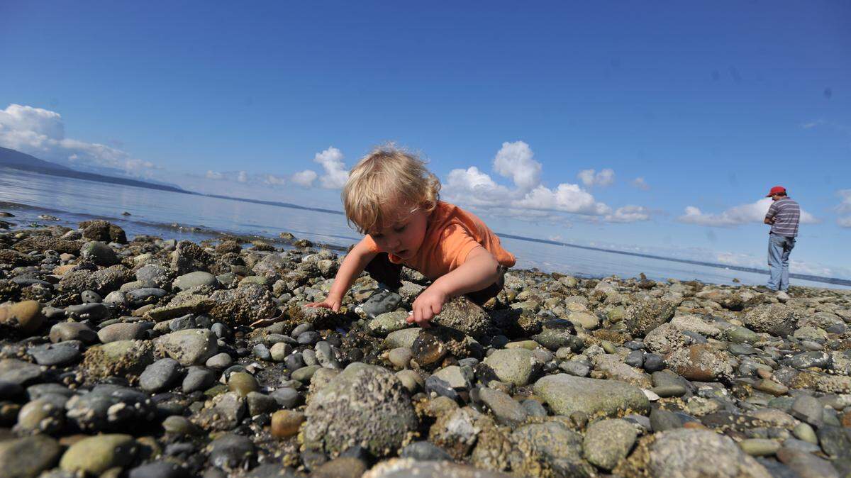 Lucas Walker watches his son Charles Walker, then 2, throw rocks and look for crabs at the beach at Marine Park in Bellingham in September 2010. Bellingham was one of only six cities nationwide to appear on all three of the American Lung Association's cleanest cities lists for ozone and particle pollution in the association's State of the Air 2018.