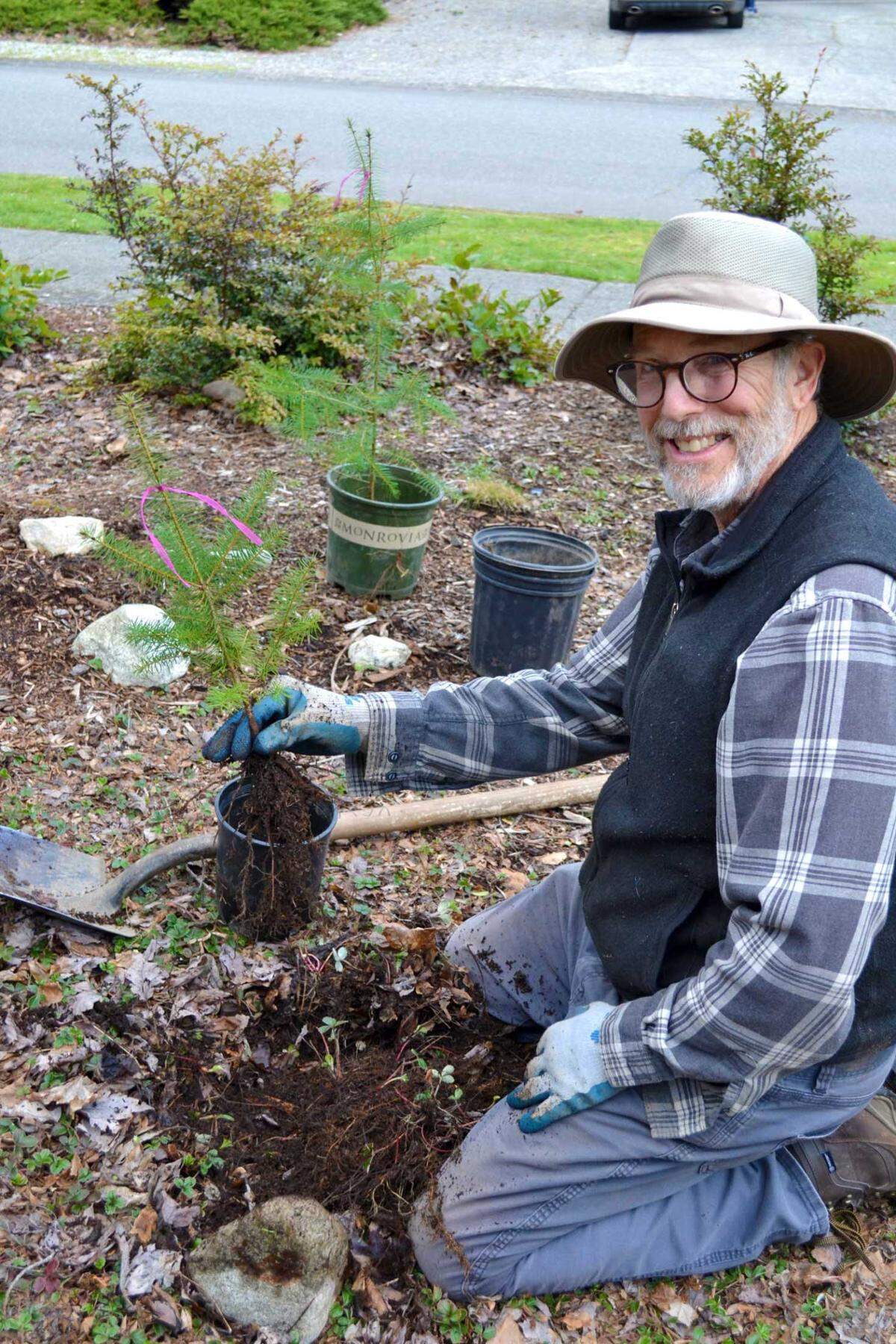 Jim Smith, planting coordinator for the Whatcom Million Trees Project, holds a seedling rescued from a yard in Bellingham on March 4.