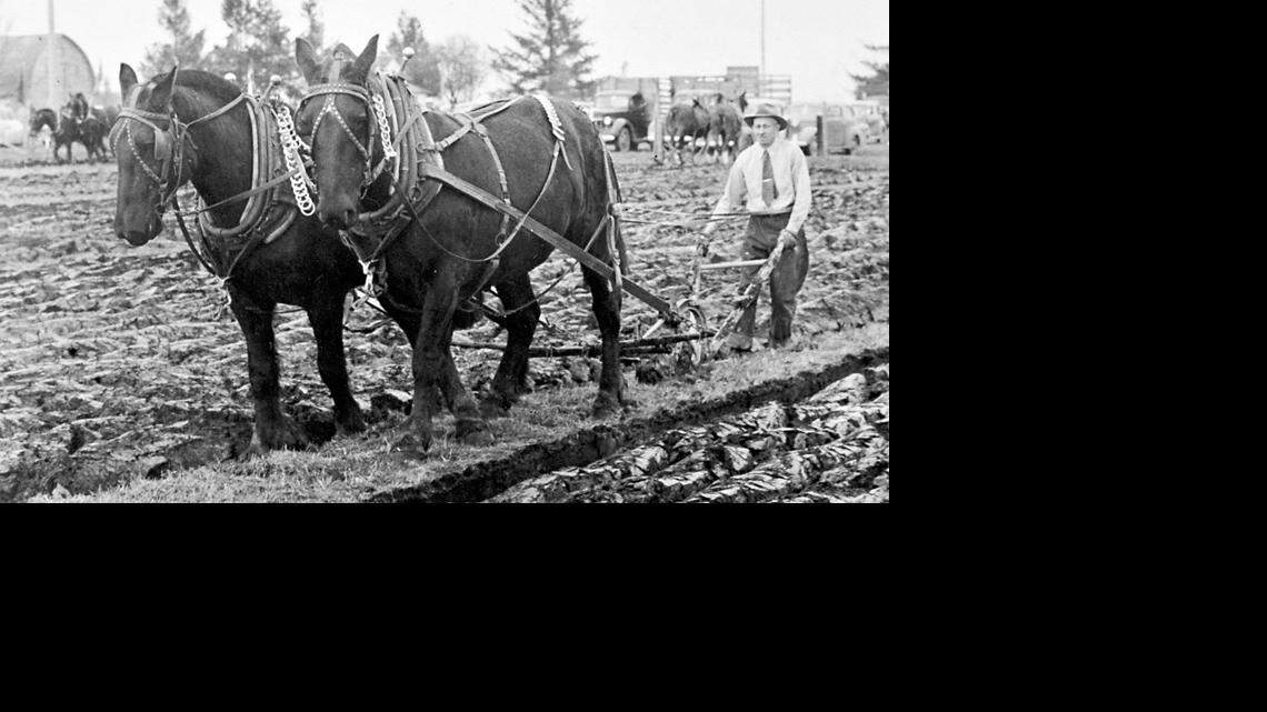 LYNDEN FAIR AGRICULTURE