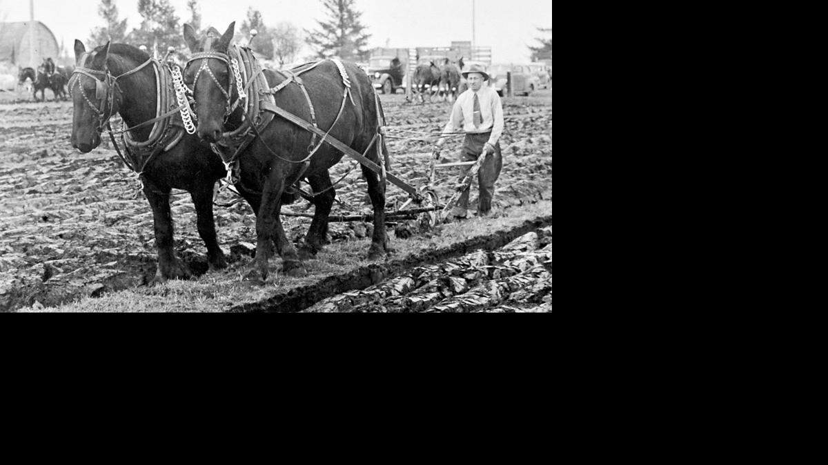 LYNDEN FAIR AGRICULTURE