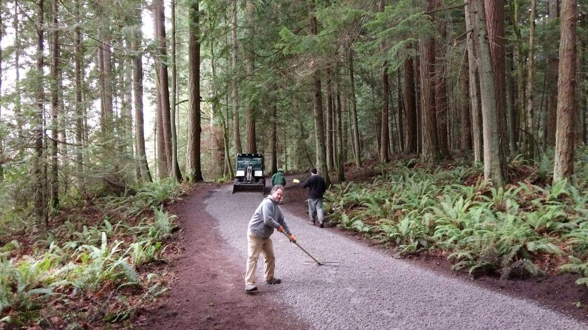 Bellingham Parks and Recreation Department crews are putting down 240 tons of crushed limestone gravel on about 1 mile of the main trail that loops around Lake Padden.