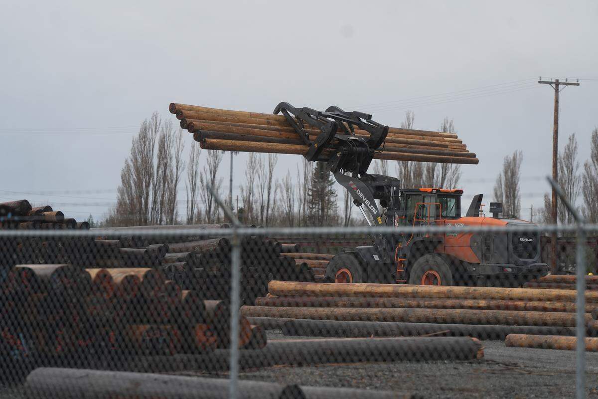 An employee of Bell Lumber & Pole moves lumber using heavy machinery at the company’s facility on March 17 in Bellingham. The site is located in a Heavy Impact Industrial (HII) zoning area, adjacent to residential neighborhoods.