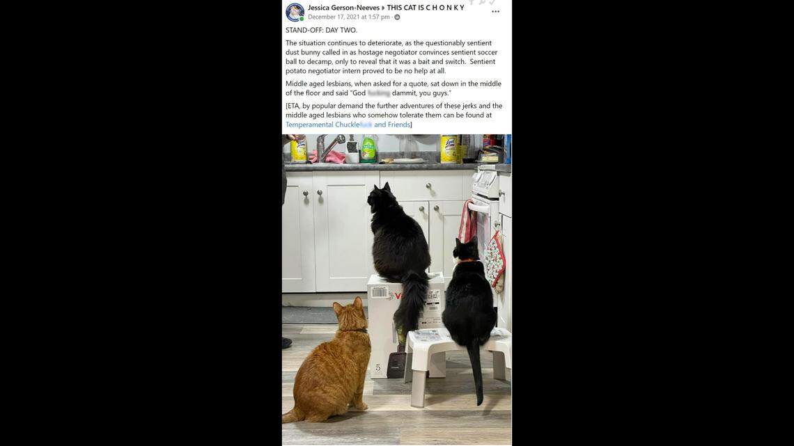 These three cats spent weeks fighting over a box in the home of pet owners Nikii and Jessica Gerson-Neeves of British Columbia, Canada.