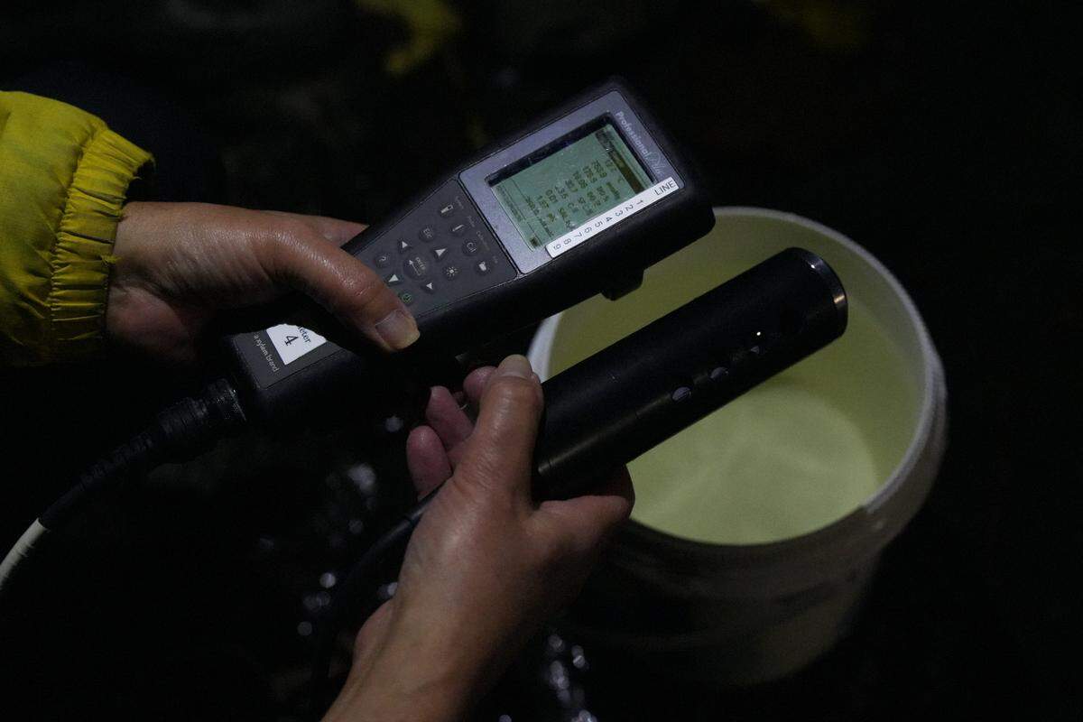 Salish Sea Stormwater Monitoring Project volunteer Henry Pfeffer uses equipment to test for pollution in a water sample.