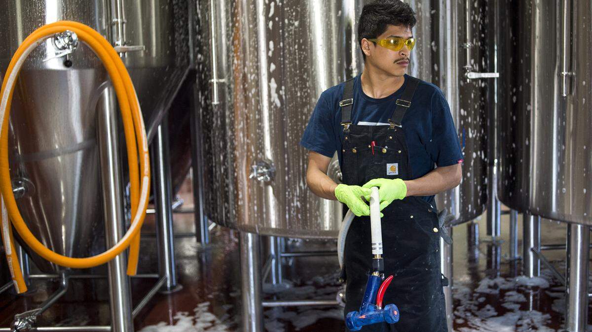 Emmanuel Tellez, a Custom Design Inc. employee, cleans the tanks inside the brewery at Twin Sisters Brewing on Monday in Bellingham.