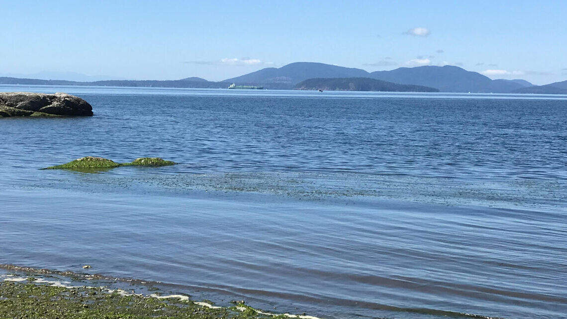 Parts of Larrabee State Park near Bellingham to close for nearly nine months