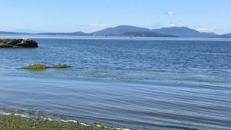 Parts of Larrabee State Park near Bellingham to close for nearly nine months