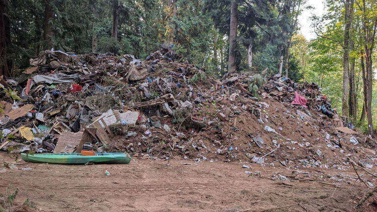 Why timber harvest plays a major part in Bellingham’s largest encampment cleanup