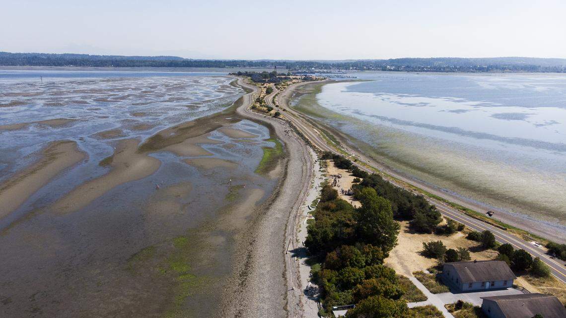 State officials set emergency closure for shellfish harvesting in Drayton Harbor