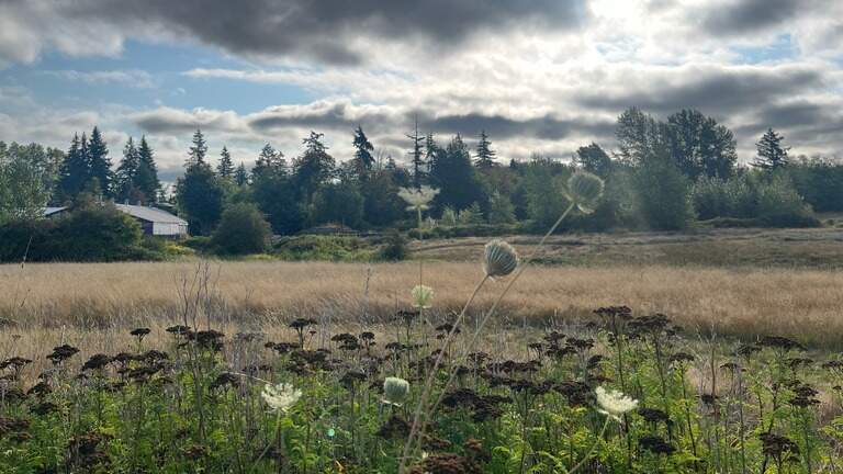 Bellingham is getting a new park in a fast-growing neighborhood. Here’s the plan