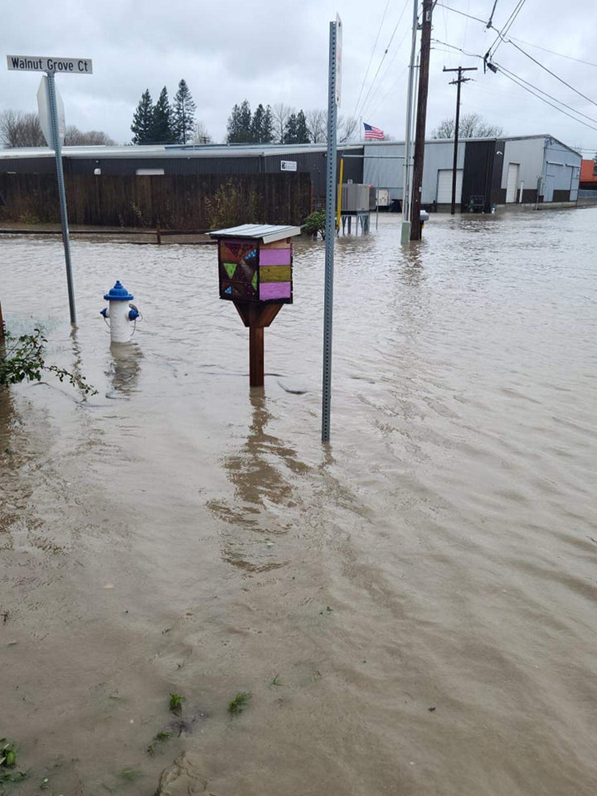 A Pineapple Express brought heavy rains and flooding to Whatcom County on Monday, Nov. 15.