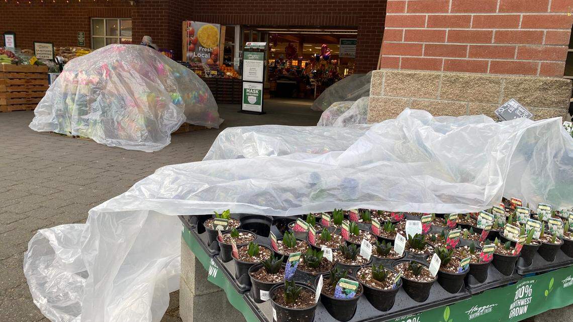 A chance of snow in Whatcom exists every day through Friday, but when is it most likely?