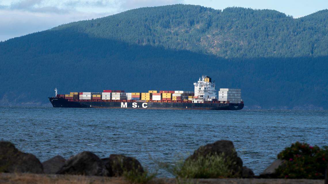 This is how idling container ships in Bellingham Bay could impact the environment