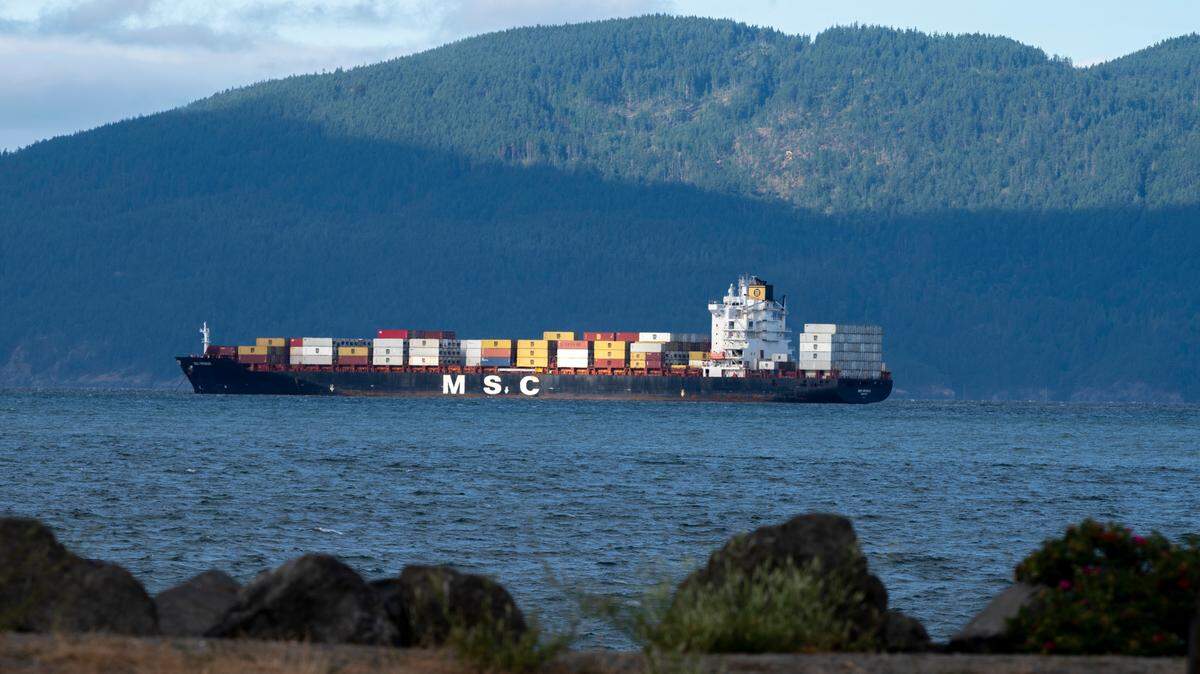 The MSC Vidisha R., with a gross tonnage of 45,803, was in Bellingham Bay on Tuesday, July 20, waiting for room in Seattle docks.