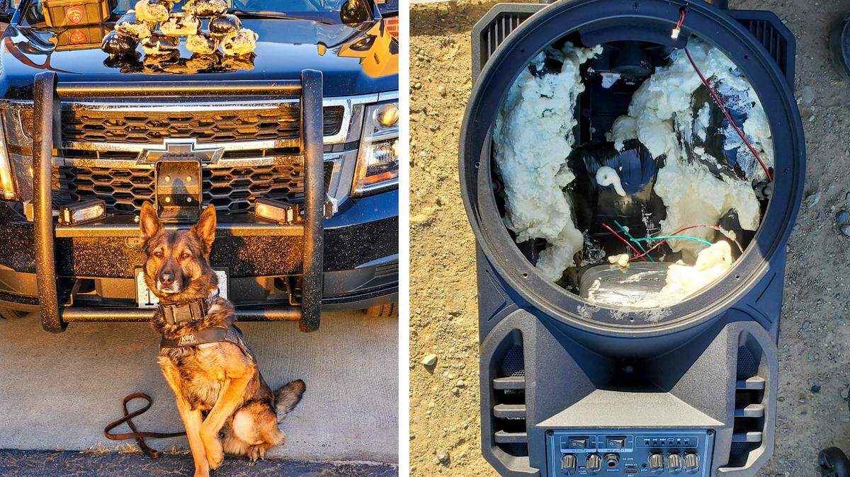 A Lynden man was arrested Tuesday, March 30, near Fresno, California, after the California Highway Patrol and K9 Beny reportedly found 15 pounds of methamphetamine inside karaoke machines he was transporting.
