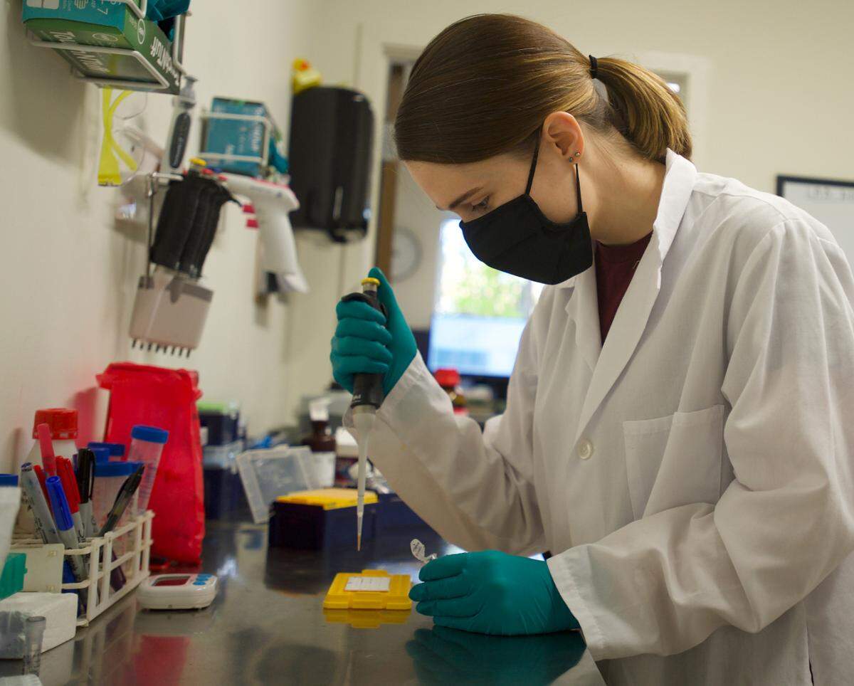 Fran Carpenter, a molecular biologist at Exact Scientific Services, prepares samples to test for coronavirus in human waste in October 2020 in Ferndale.