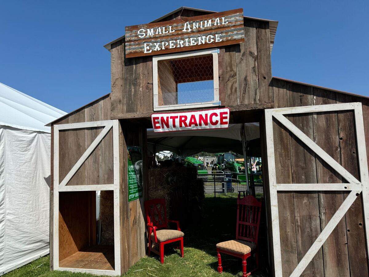The small animal experience at The Northwest Washington Fairgrounds at 1775 Front St. in Lynden, Wash. on August 7, 2024.