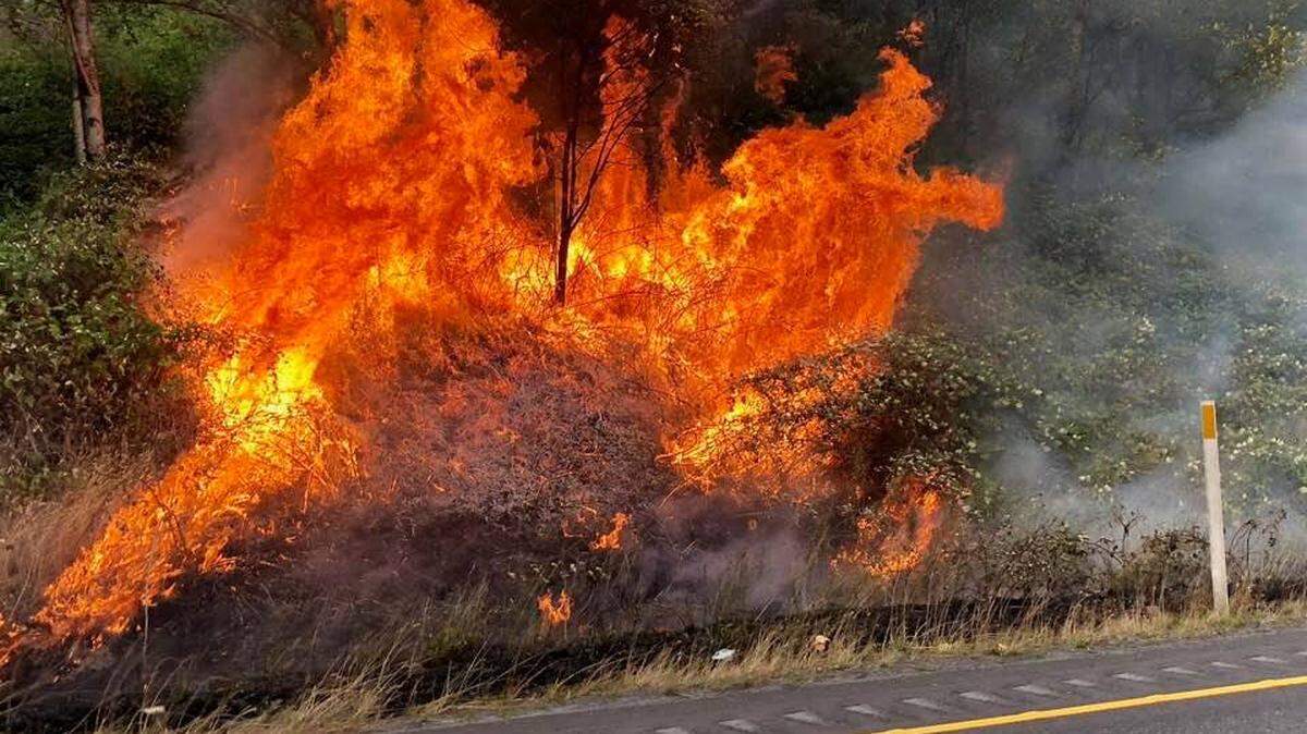A brush fire burns in the median along southbound Interstate 5. The fire was one of a series of small wildfires Monday along the freeway in south Whatcom County.