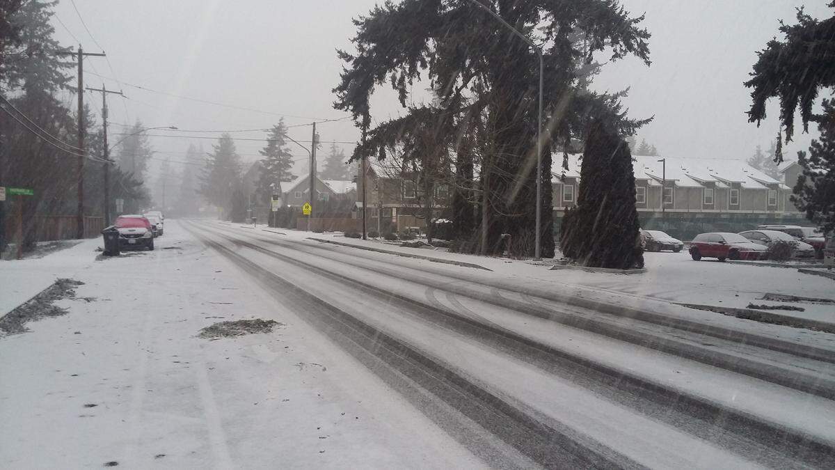 Snow falls on west Maplewood Avenue in Bellingham Sunday. The National Weather Service expected between 1 and 4 inches of snow to fall during the overnight storm.