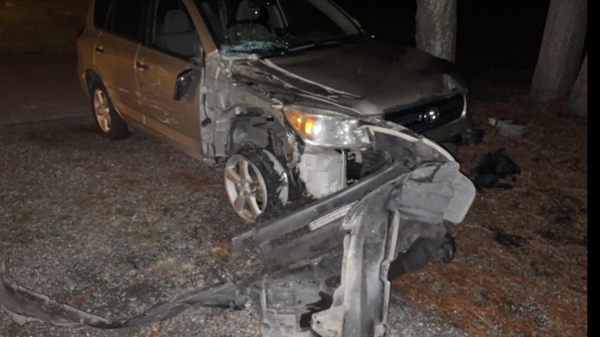 A suspected drunk driver in Whatcom County allegedly crashed into multiple objects and vehicles on his way home with a passenger in the car.
