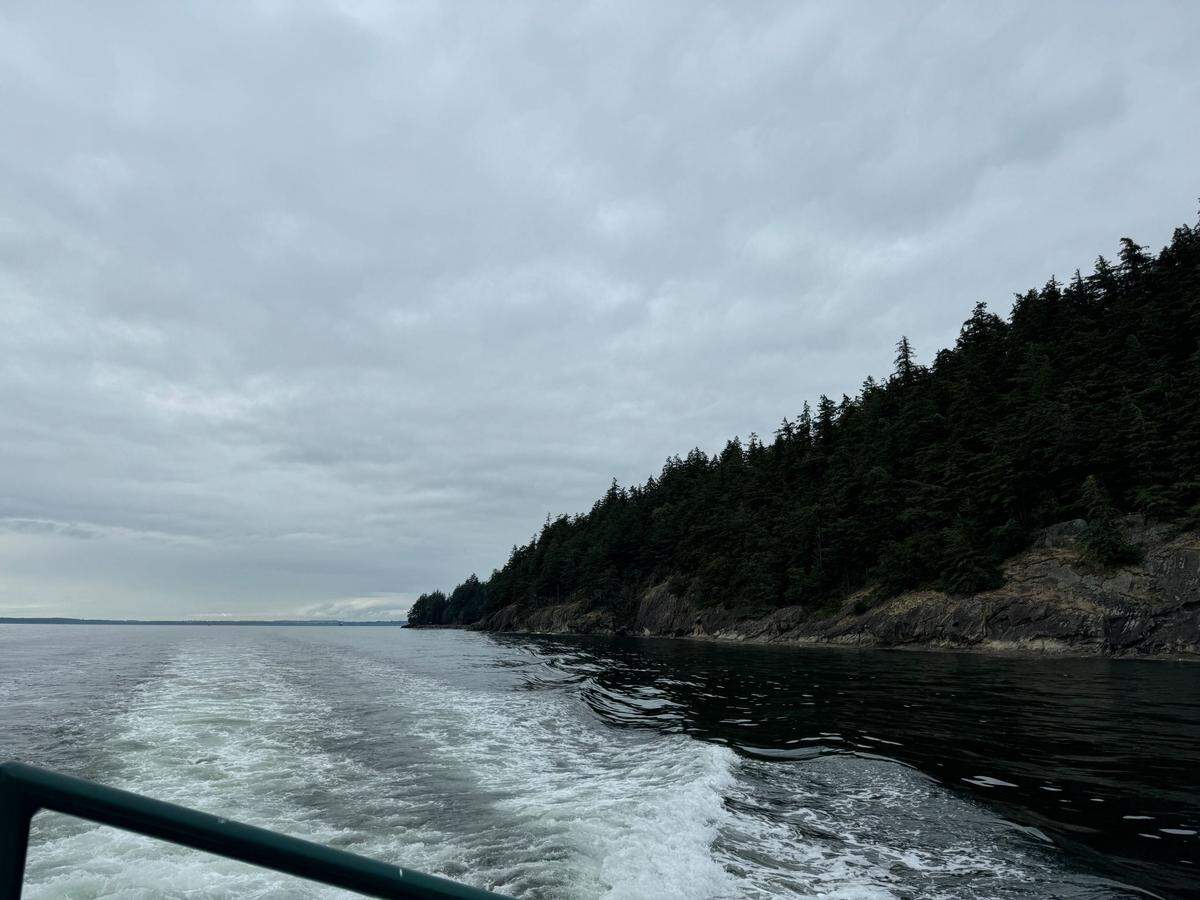 The view of Bellingham’s coast from the Whatcom Museum History Sunset Cruise on July 20, 2024.
